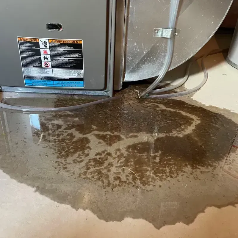 Appliance Leak Cleanup in Saint John, KS